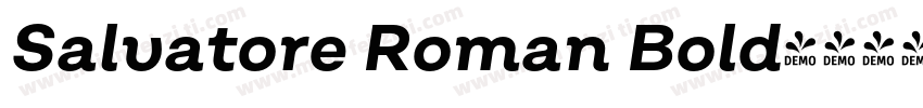 Salvatore Roman Bold字体转换